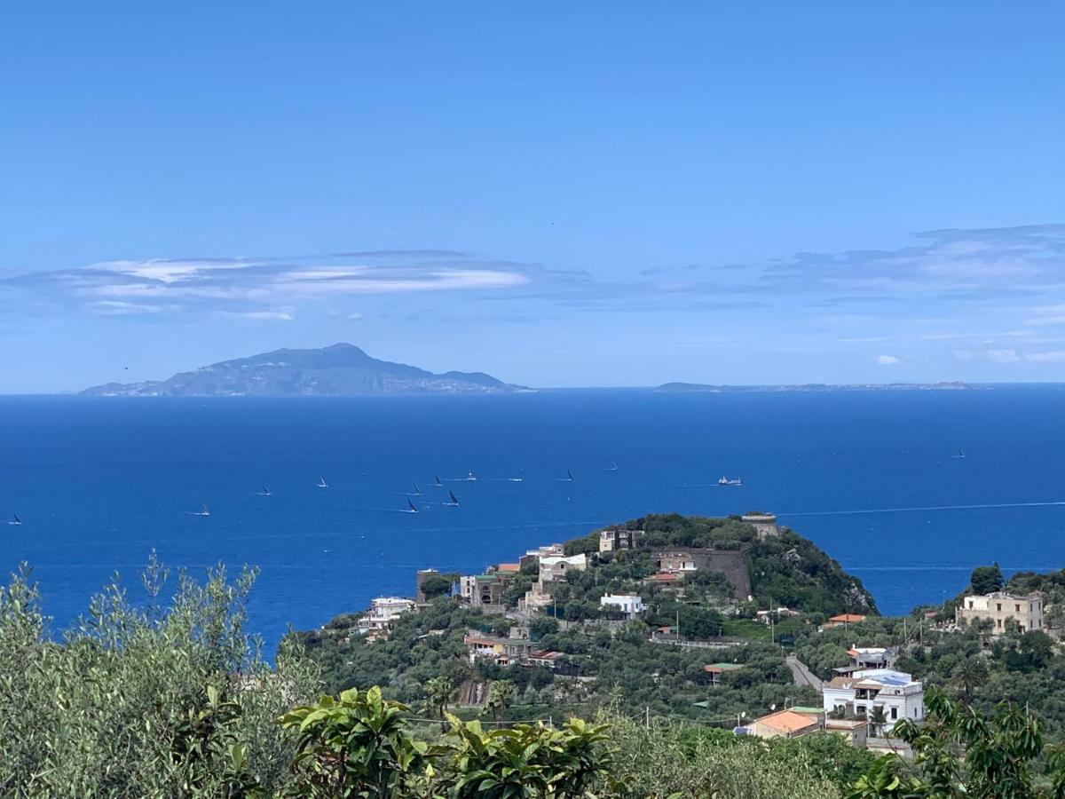 Terrazza Sul Golfo Apartment Massa Lubrense Exterior foto
